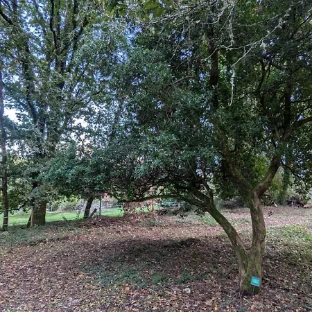 Chalet De Marie & 8 Mins De Perigueux Σαλέ