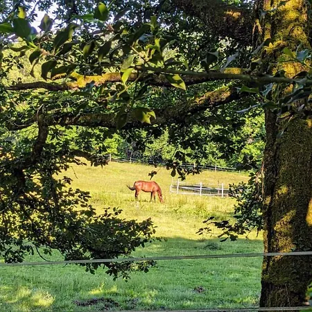 Chalet De Marie & 8 Mins De Perigueux Trélissac