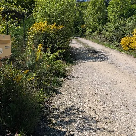 Chalet Le De Marie Trélissac