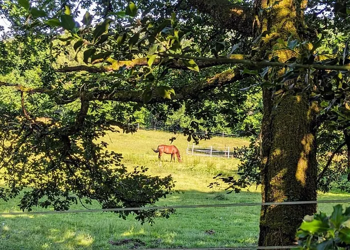 Le De Marie Trélissac